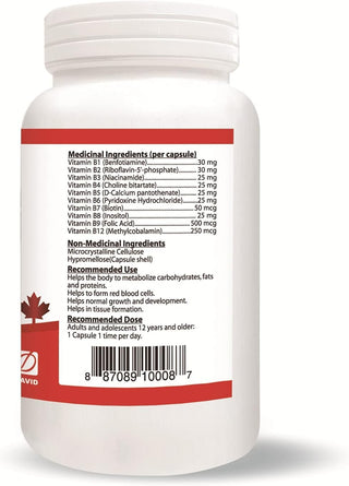 Nutridom Vitamin B-Complex SAFE (120 Capsules)