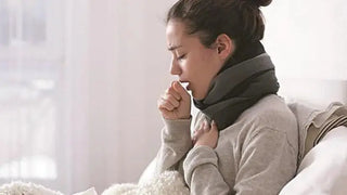 Echinacea Benefits for Immune Support | Natural Wellness Guide