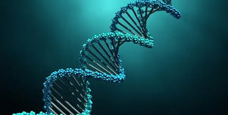 Reverse Your Age Naturally. How NMN Can do it?