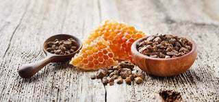 The Magic of Bee Propolis: Nature's Pharmacy