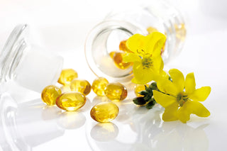 Evening Primrose Oil: A Natural Solution for Hormonal Balance, Skin Health & More