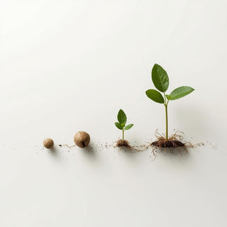 The Top 5 Vegan Supplements for Everyday Health: What Plant Based Diets Are Most Likely to Miss