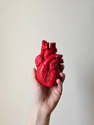 Ubiquinol vs Ubiquinone: Why the Active Form of CoQ10 Is the Only Form Worth Taking, and What the Science Says About Heart Health, Migraines, and Cellular Energy