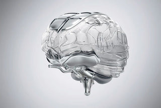 The Top 5 Supplements for Cognitive Health: Memory, Focus, and Long-Term Brain Protection