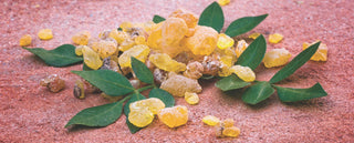 Boswellia Serrata Explained: Uses, Benefits, Dosage & Safety