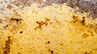 Fresh Royal Jelly vs. Royal Jelly Capsules: Which Is Better for You?