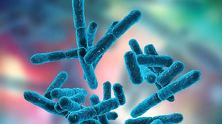 About 80 Billion Cfu Probiotics