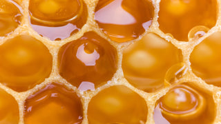 The Buzz About Bee Propolis: Nature's Protective Wonder