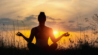 The Power of Ginseng: A Natural Boost for Your Health