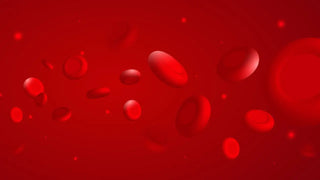 The Vital Role of Iron: Your Body's Blood Builder