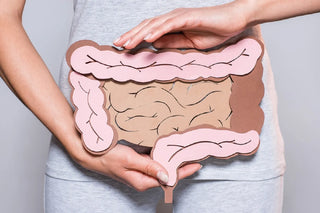 Top Probiotic Benefits for Digestive Health, Immunity, and Microbiome Balance