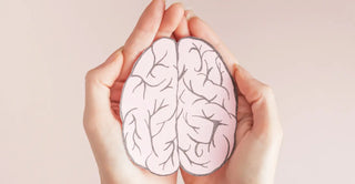 Alpha GPC Explained: Support for Memory, Focus, and Brain Aging