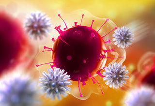 Resveratrol: The Antioxidant Behind Longevity and Cellular Protection