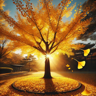 Ginkgo Biloba: The Ancient Herb for Modern Wellness