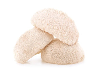 Unlocking the Secrets of Lion's Mane Mushroom: A Natural Wellness Boost