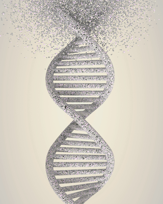 How NMN Boosts NAD⁺ and Cellular Energy Production