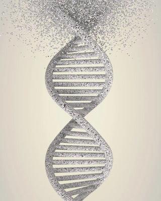 How NMN Boosts NAD⁺ and Cellular Energy Production