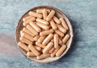 Chitosan for Digestion, Detox, and Cholesterol Control