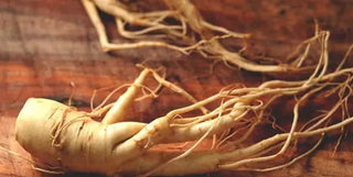 How Tongkat Ali Helps You Stay Strong, Energized, and Balanced