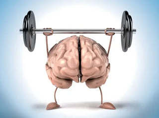 Why Alpha GPC Is a Go-To Nootropic for Memory and Focus