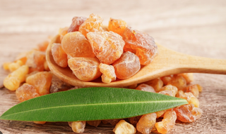 Boswellia Benefits: Natural Support for Joints, Mobility, and Inflammation