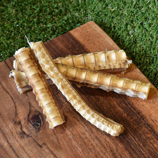 Top Benefits of North American Shark Cartilage for Mobility and Joint Comfort