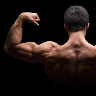 Magnesium: The Unsung Hero for Your Muscles in Fitness