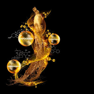 Supporting Male Sexual Performance: The Complementary Role of Korean Ginseng, Vitamins B, and Taurine