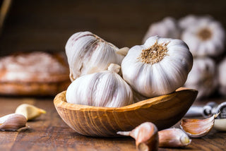 Why Garlic is a Must Have?