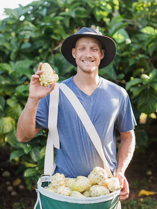 What Is Noni? Benefits, Uses, and Why This Tropical Fruit Is So Popular