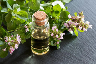 Fight Cold and Flu with the Power of Oregano Oil Capsules