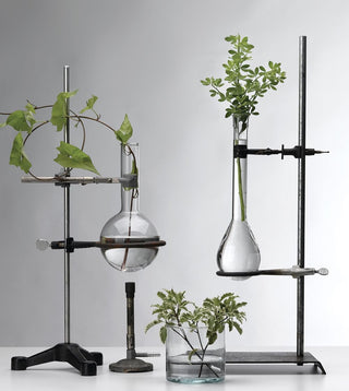 Botanical Wellness Collection | Vegan & Plant Based Support