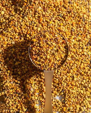 Bee Propolis | Antioxidant Defense System