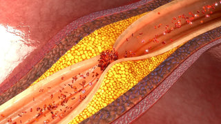 Blood Sugar Balance | Glucose Metabolism Support