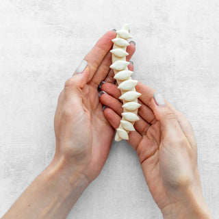 Joint & Inflammation