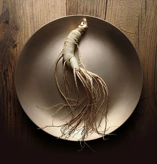 Canadian Ginseng | Vitality & Stress Balance Support