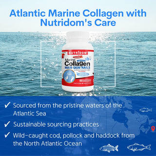 Collagène marin Nutridom Nova Scotia 600 mg (60 gélules)