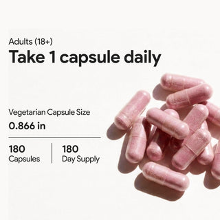 50x Cranberry Fruit Extract High-Strength Formula 180 Vcaps