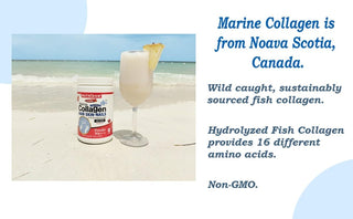 Nutridom Nova Scotia Marine Collagen Powder (303g)
