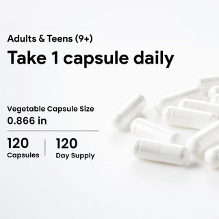 Nutridom Vitamin C 1000mg | Time Release | High Bioavailability | 120 Vcaps