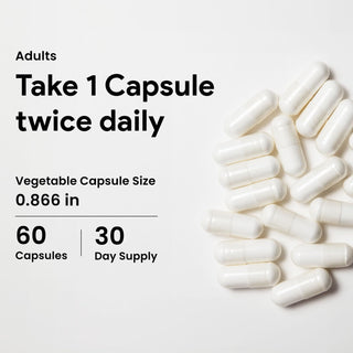 Nutridom Resveratrol 500 mg | Advanced Antioxidant | Cellular Health | Japanese Knotweed Extract | 60 VCaps