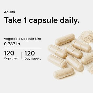 Nutridom Pygeum 200mg | Standardized to 13% Phytosterols | 120 Vcaps