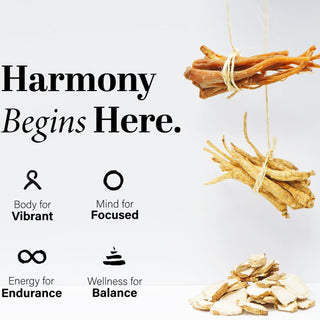 Sahm 캐나다산 건조 백삼 120g 