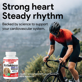 Nutridom Nattokinase 100 mg | 2000 FU | Libération prolongée | 60 gélules V