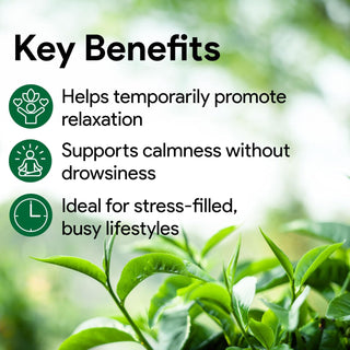 Nutridom L-Théanine 250 mg | Relaxation et concentration | 60 gélules végétales