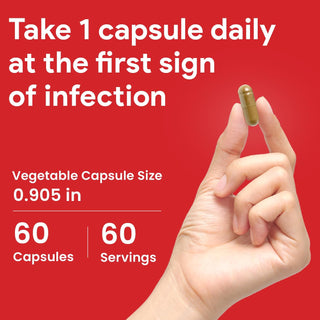 Nutridom Echinacea Purpurea | 5,500mg Per Day | 10x Extra Strength | 60 Capsules