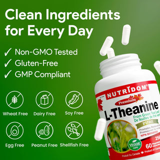 Nutridom L-Theanine 250mg | Relaxation & Focus | 60 Vcaps
