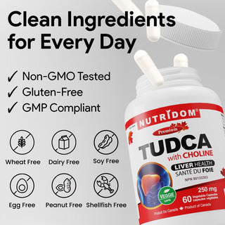 TUDCA 250mg avec Choline | Acide Tauroursodésoxycholique | Soutien Hépatique | 60 Gélules Végétales