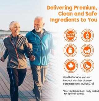 Nutridom Curcumin with Piperine | Enhanced Absorption | 60 Vcaps