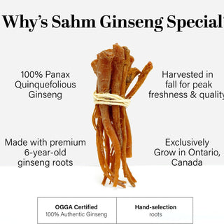 Sahm 캐나다산 건조 홍삼 베이비 뿌리 100g (3.5oz) 